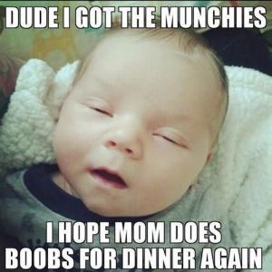 funny breastfeeding pic