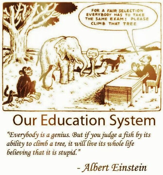 Albert Einstein - Our Education System