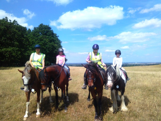 four horses in a row