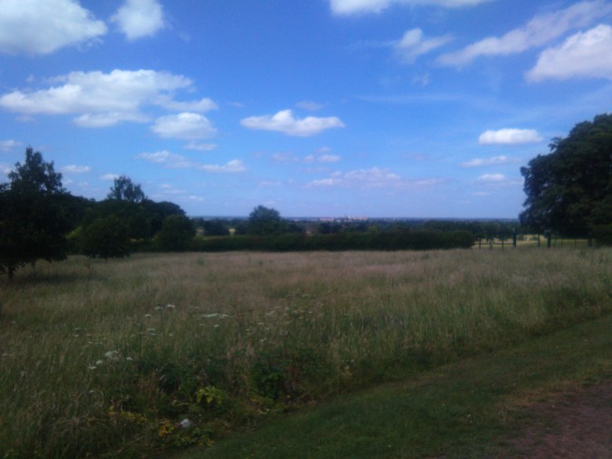 View of Windsor Castle across the park