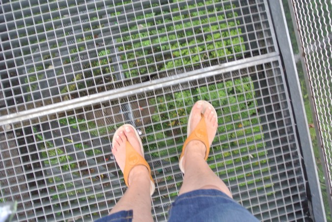 Don't look down!