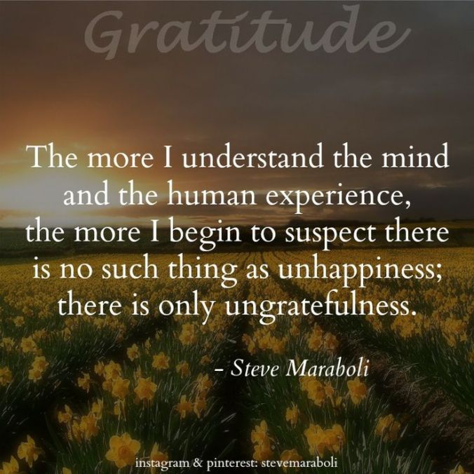 Gratitude - Steve Maraboli