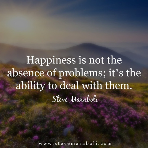 happiness - steve maraboli