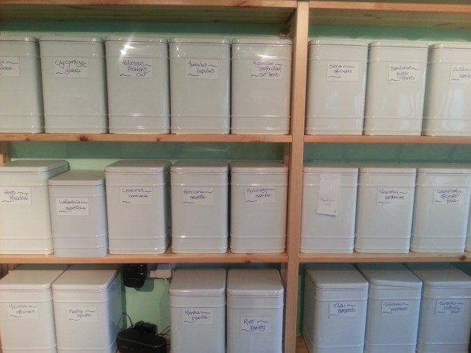 All the herbs used in Hippopot teas are categorised by their Latin names. 