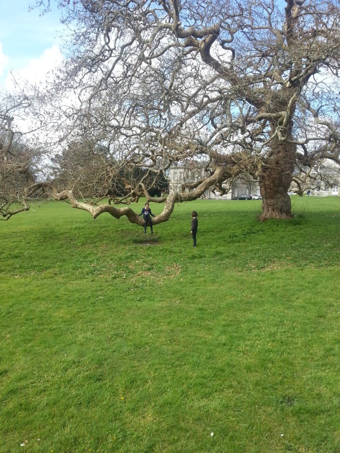 Emily and Ruby on tree