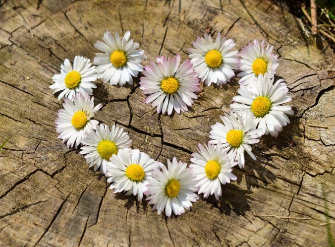 Daisy shaped heart
