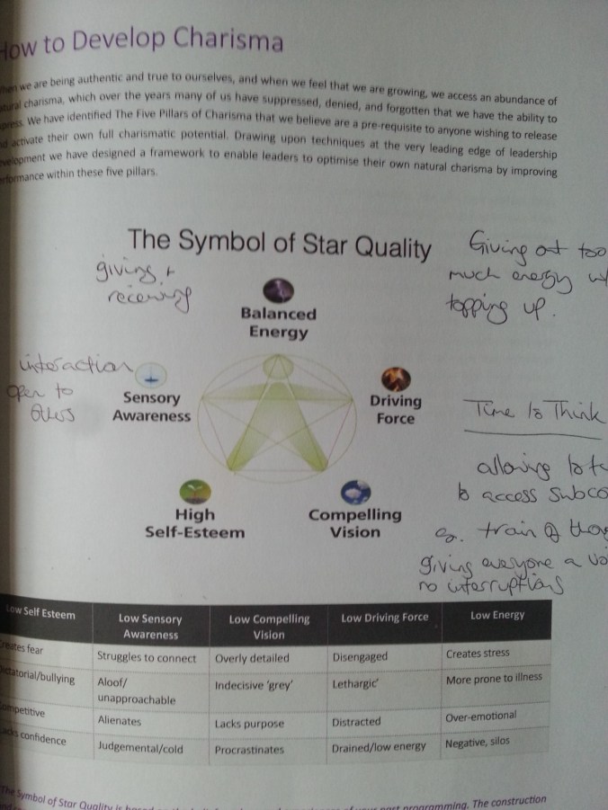 Charisma - five pillars - star