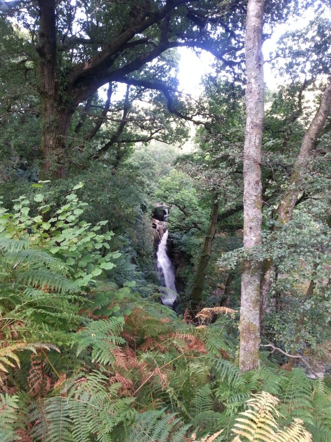 Approach to Aira Force near Ullswater