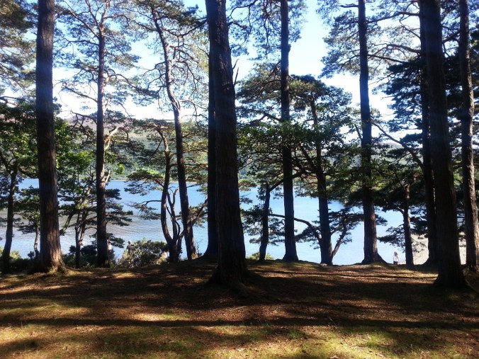 On the shore at Derwentwater