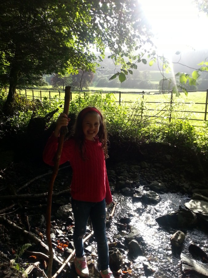 Having a walk on one of the short trails at Grizedale Forest.