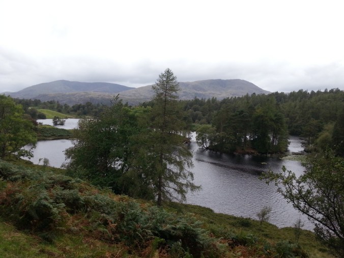Tarn Hows Panorma