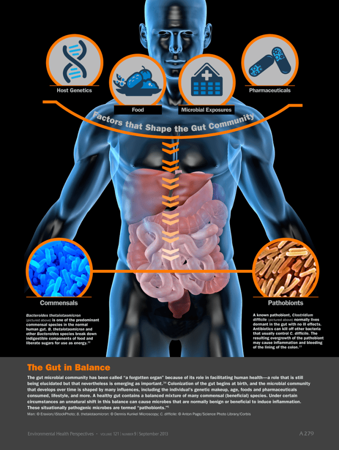 microbiome-ehp-infographic