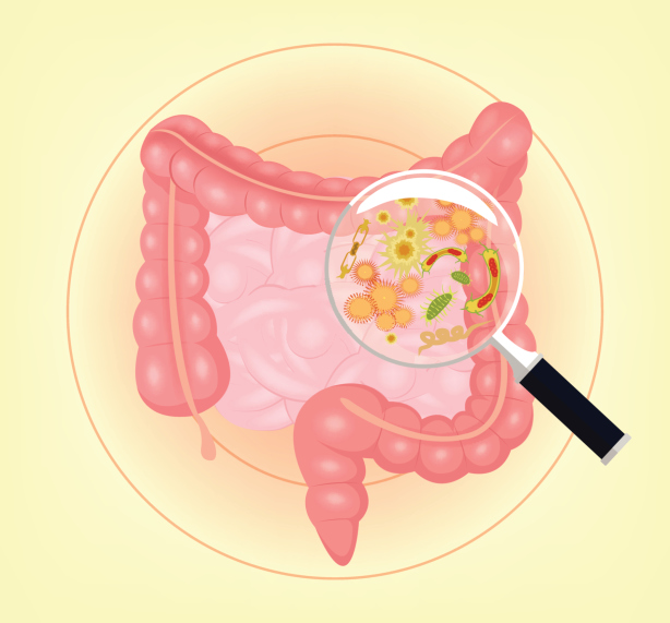 microbiome-hmp-ibd-image