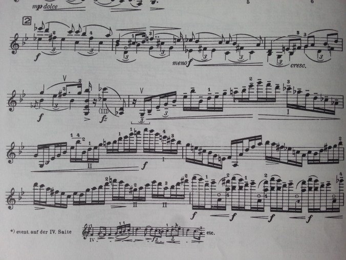 A section of the beautiful 2nd movement from my score.