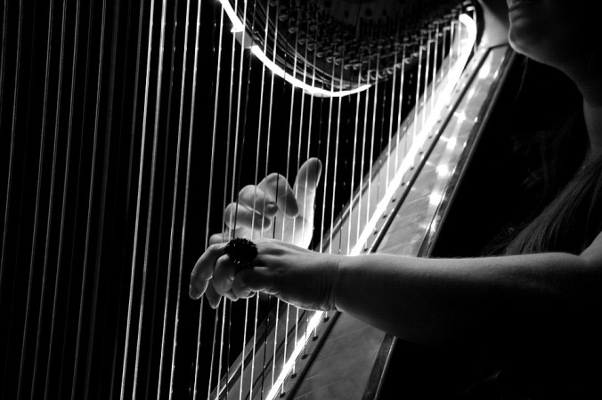silence-harp-in-concert