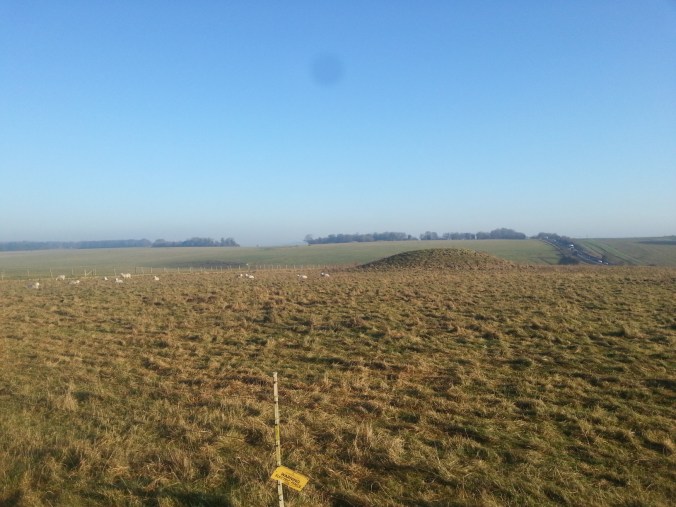 surrounding-landscape